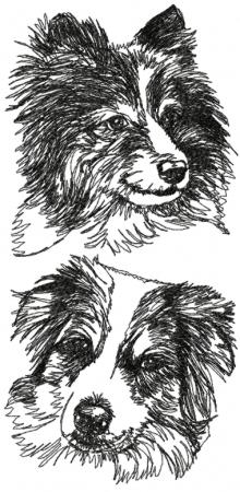 Australian Shepherd Set