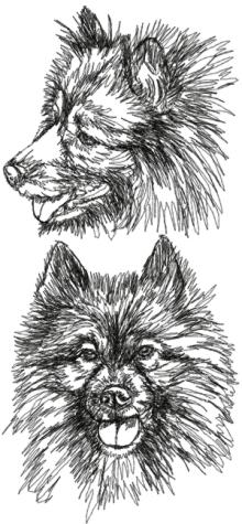 Keeshond Set