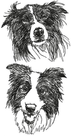 Border Collie (Scottish Sheepdog) Set