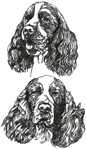 English Springer Spaniel Set