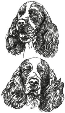 English Springer Spaniel Set