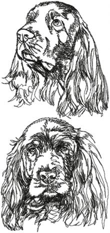 Sussex Spaniel Set