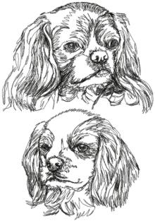 English Toy Spaniel (King Charles Spaniel) Set