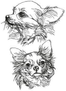 Chihuahua Set
