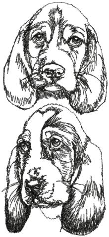 Basset Hound Set