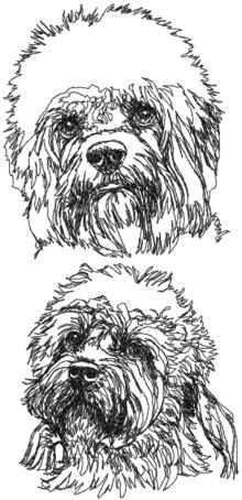 Dandie Dinmont Terrier Set