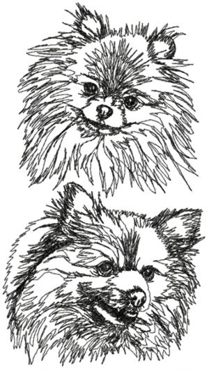 Pomeranian Set