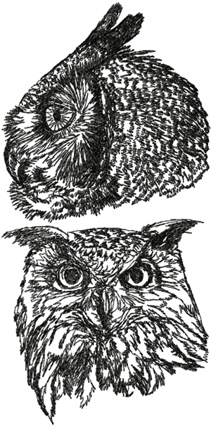 Horned Owl Set