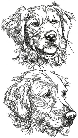 Golden Retriever Set