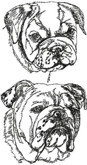 English Bulldog Set