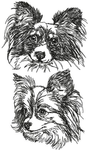 Papillon Set (Continental Toy Spaniel)