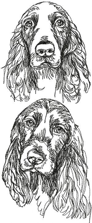 Field Spaniel Set