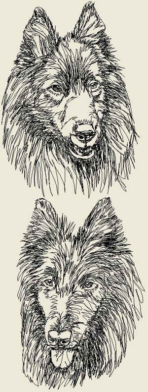 Belgian Sheepdog Set