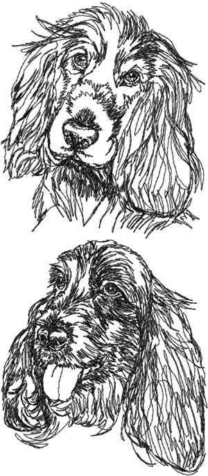 English Cocker Spaniel Set