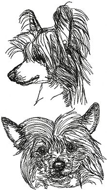 Chinese Crested Dog Set