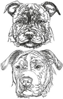 Staffordshire Bull Terrier Set