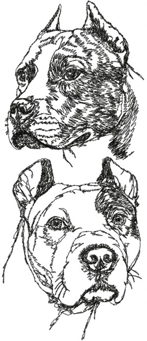 American Staffordshire Terrier Set