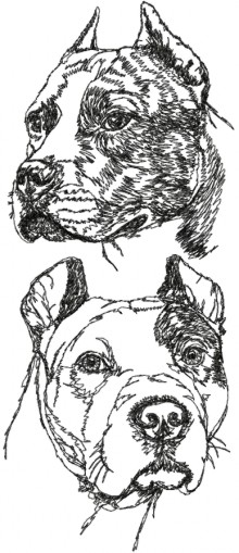 American Staffordshire Terrier Set