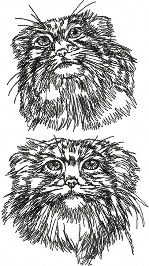Pallas's Cat (Manul) Set
