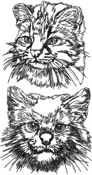 Pampas Cat Set