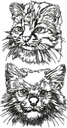 Pampas Cat Set