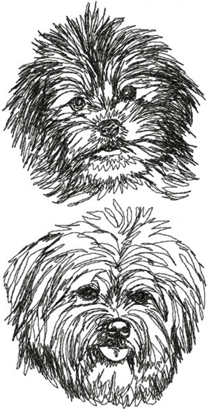 Download Advanced Embroidery Designs - Havanese Set