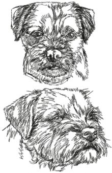 Border Terrier Set 