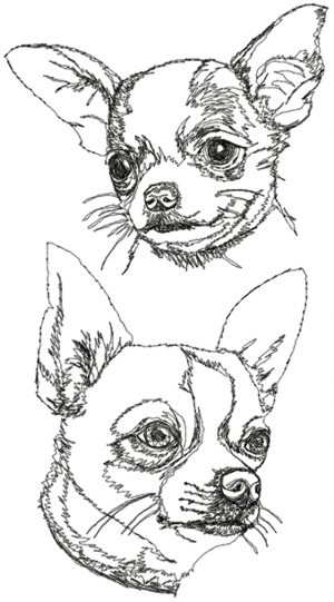 Chihuahua (Smooth Coated) Set 