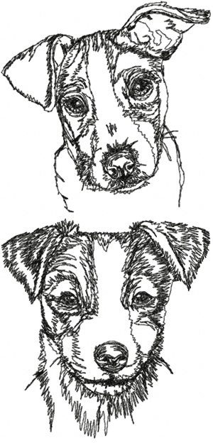 Jack Russell Terrier (Parson Russell Terrier) Set