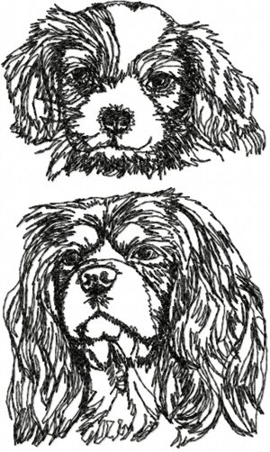 Cavalier King Charles Spaniel Set II