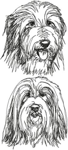 Bearded Collie (Beardie) Set