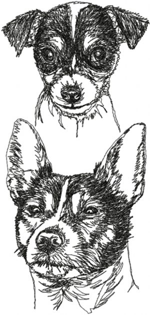 Tenterfield Terrier Set 