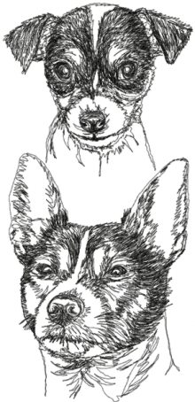 Tenterfield Terrier Set 