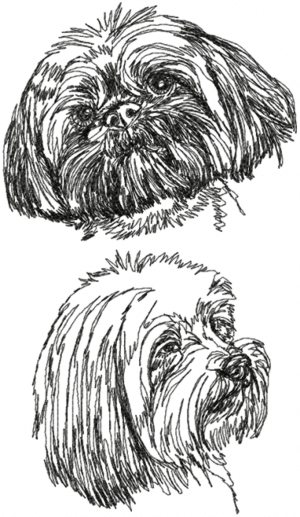 Lhasa Apso Set 