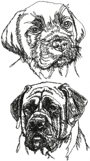 English Mastiff Set 