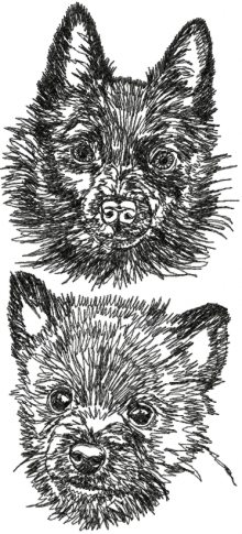 Schipperke Set