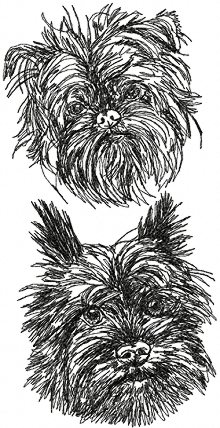 Affenpinscher Set