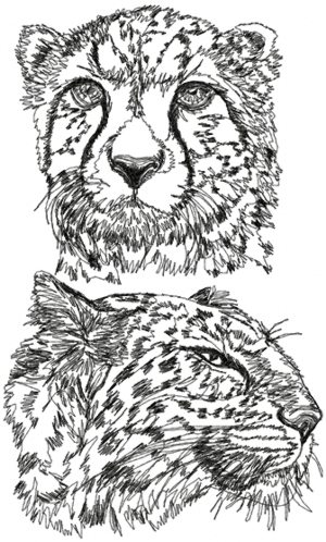 Cheetah Set 
