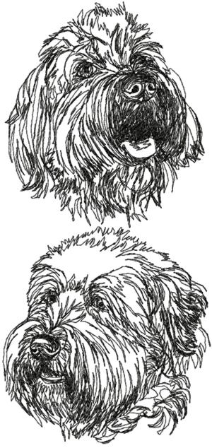Wheaten Terrier Set (Soft-Coated Wheaten Terrier)