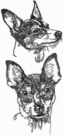 Toy Fox Terrier (American Toy Terrier) Set