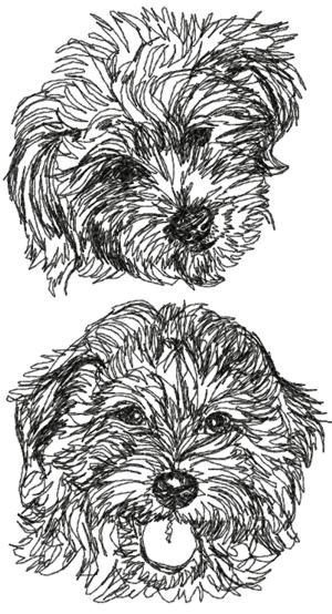 Advanced Embroidery Designs - Goldendoodle Set