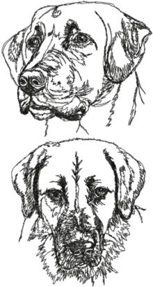 Anatolian Shepherd Dog Set