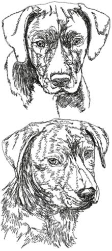 Mountain Cur Set