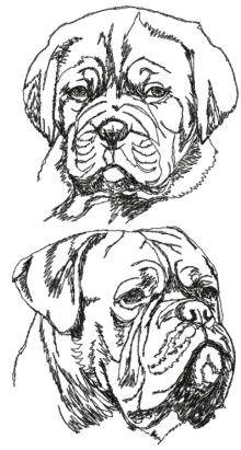 French Mastiff Set (Dogue de Bordeaux)