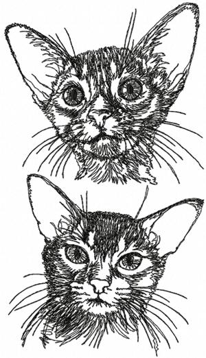 Abyssinian Cat Set