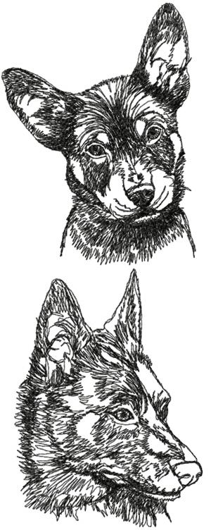 Download Advanced Embroidery Designs - Australian Kelpie Set