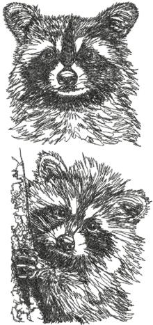 Raccoon Set Machine Embroidery Design