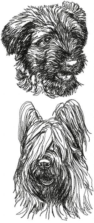 Briard Dog Set