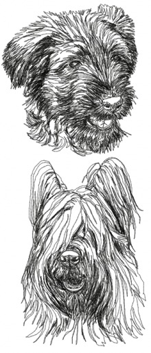 Briard Dog Set