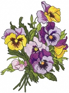 Pansies